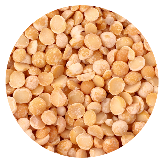 Экспериментатор измельчил семена гороха добавил. Условия прорастания семян опыт. Эксперимент с элодеей и гидрокарбонатом натрия. Экспериментатор измельчил семена гороха добавил. Набухание семян гороха.