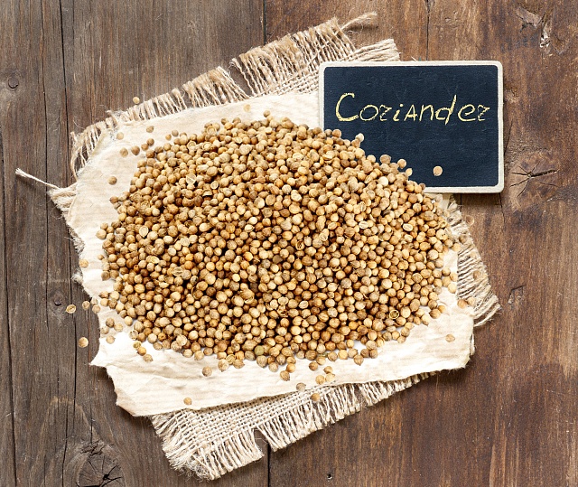 Coriander